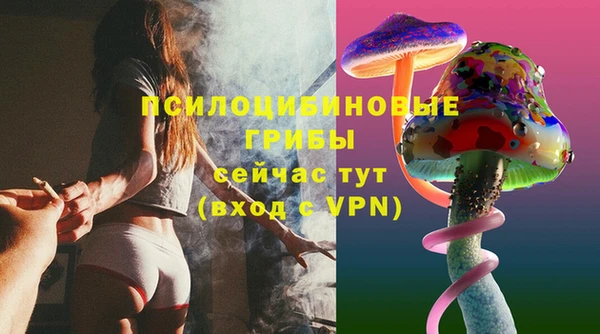 мяу мяу мука Инта