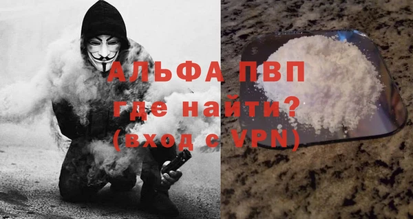 мяу мяу мука Инта