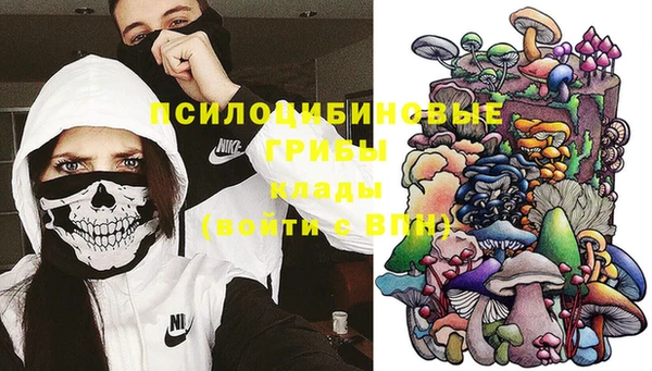 MDMA Инсар