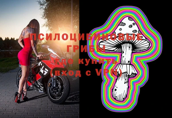 гидра Иннополис