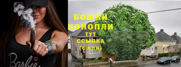 мяу мяу мука Инта